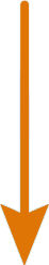 pil